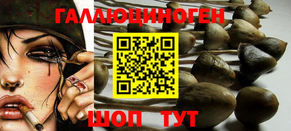 Псилоцибиновые грибы Cubensis  наркотики  Приморско-Ахтарск  Вход с VPN 